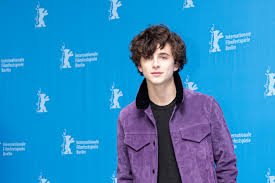 The Reasons Behind Hollywood's Incessant Pursuit of Timothée Chalamet in 2025 - Image